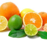 Produção e exportação de citrinos e outros produtos agrícolas