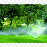 Jardinagem e Paisagismo